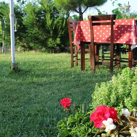 Yasemin Bagevi Habitación en casa particular *